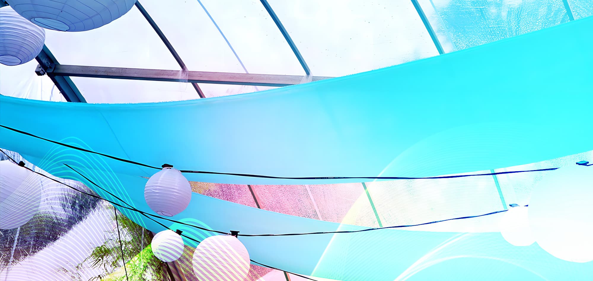 Banner 5